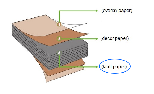 absorbent kraft paper2